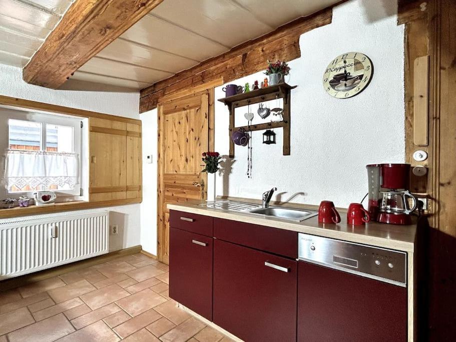 גרוסשונאו Rustikales Studio-Apartment Blockstube Im Haus Selma מראה חיצוני תמונה